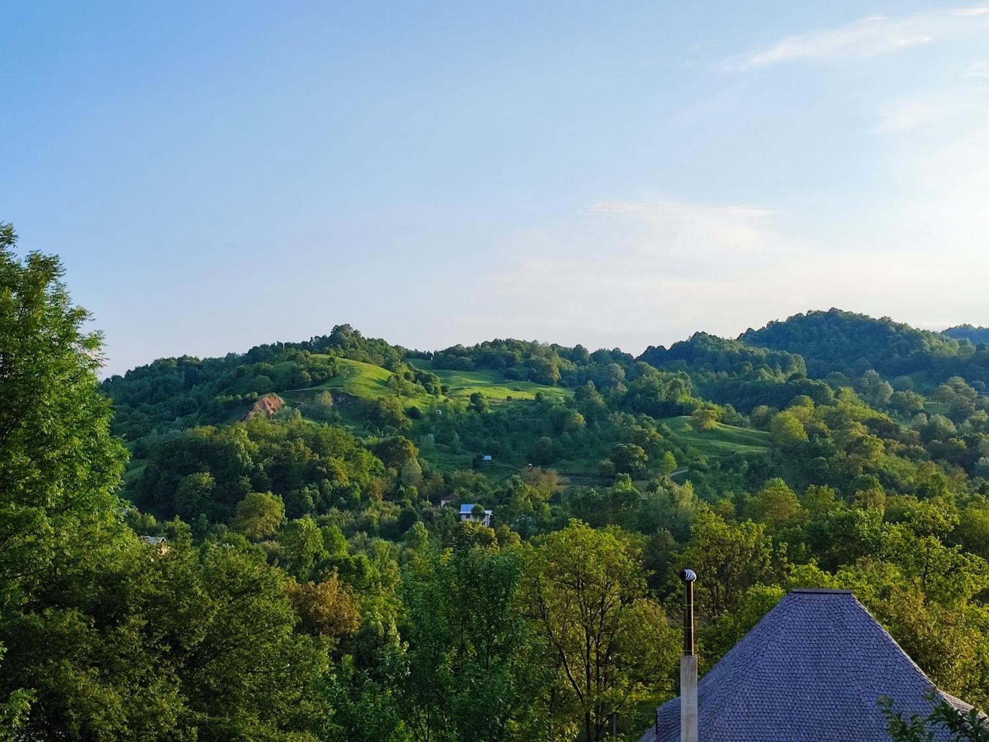 Villa La sat - Blândă Mărie à Bertea Extérieur photo